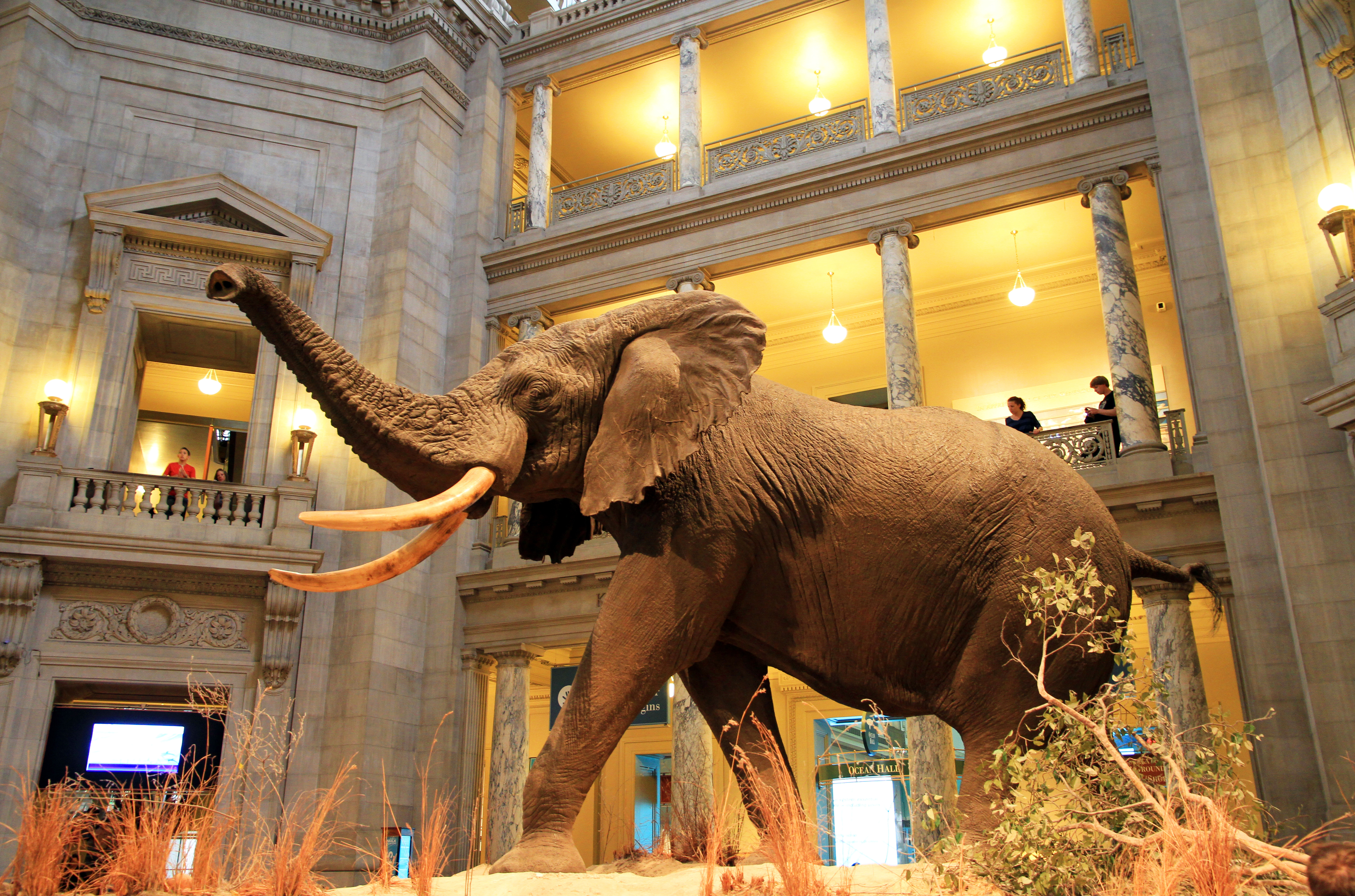 USA-National_Museum_of_Natural_History0