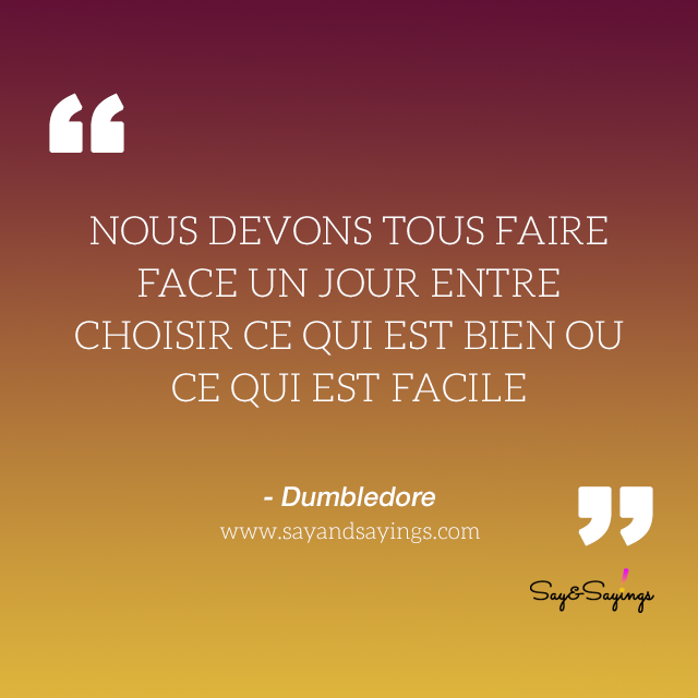 harry-potter-dumbledore.fr