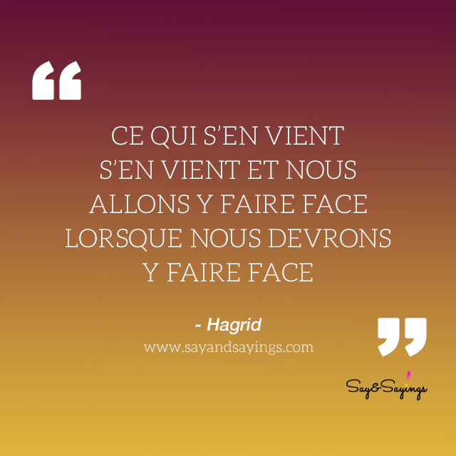 harry-potter-hagrid.FR