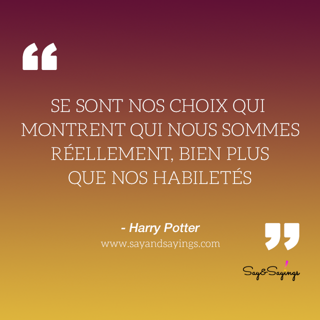 harry-potter-harry-potter.FR